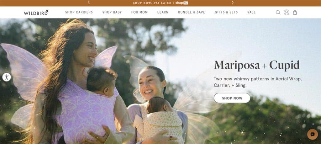 WildBird review cover image